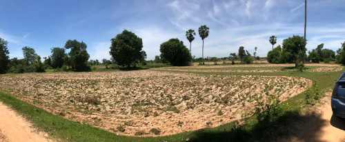 ដីលក់