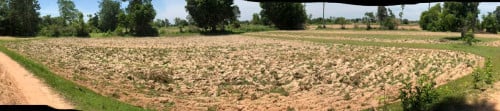ដីលក់