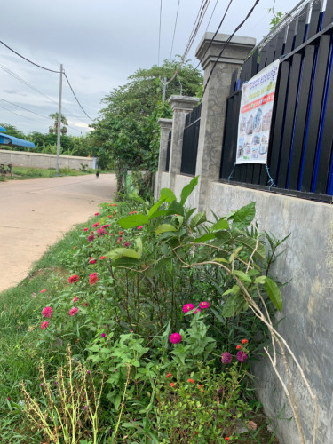 ផ្ទះលក់