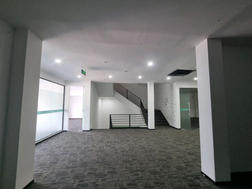 🏢 អាគារ និងឃ្លាំងសម្រាប់ជួល លើផ្លូវ ម៉ៅសេទុង ទួលទំពុង