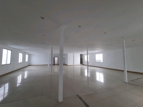 🏢 អាគារ និងឃ្លាំងសម្រាប់ជួល លើផ្លូវ ម៉ៅសេទុង ទួលទំពុង