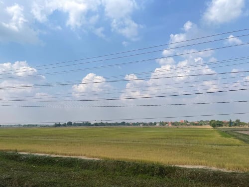 🏦Land Available for Urgent Sale at a Special Price (Negotiable).