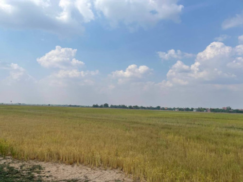 ๐ฆLand Available for Urgent Sale at a Special Price (Negotiable).
