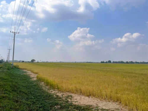 ๐ฆLand Available for Urgent Sale at a Special Price (Negotiable).