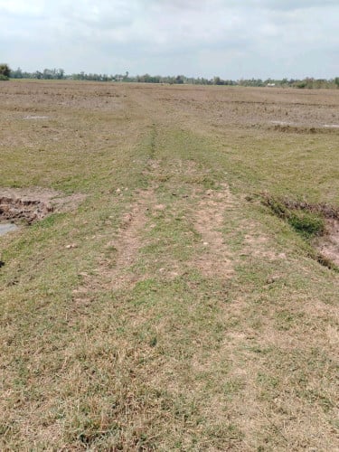 លក់បន្ទាន់ នៅជិតផ្សារ