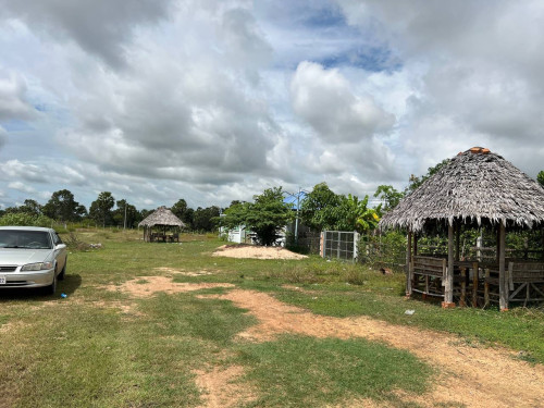 ដីលក់បន្ទាន់