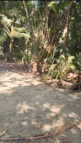 ដីព្រលានថ្មី