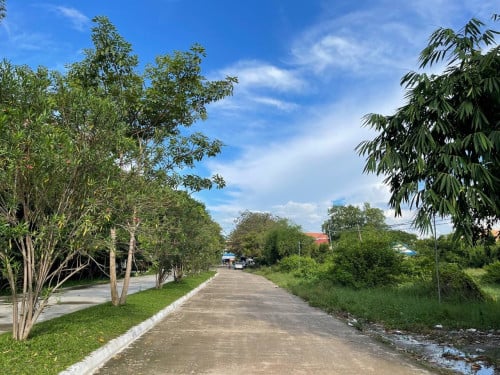ដីលក់នៅកំបូល