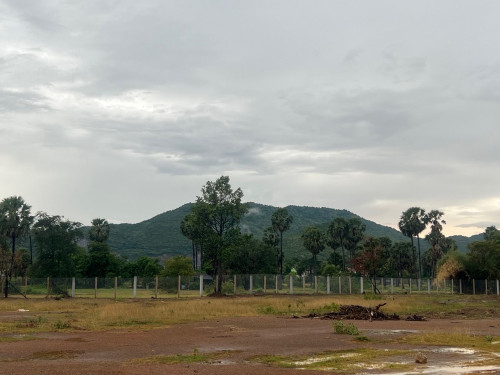 ដីលក់តម្លៃសមរម្យ