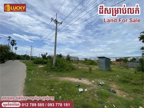 ប្លង់រឹង