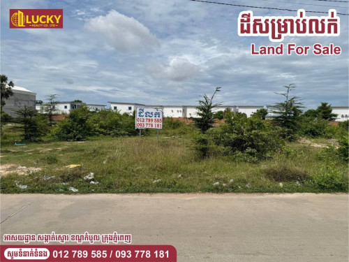 ប្លង់រឹង