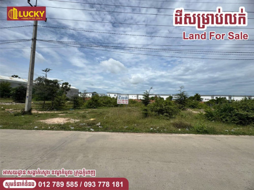 ប្លង់រឹង