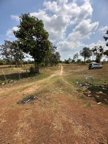 ដីលក់នៅរលាប្អៀរ កំពង់ឆ្នាំង ទំហំដី1831ម៉ែត្រការ៉េ