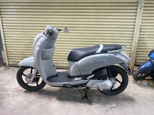 Honda scoooy.I updated 2024