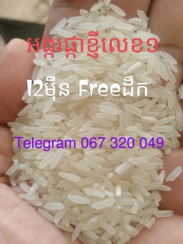 លេខ១  អង្ករផ្កាម្លិះកេខ១ អង្ករផ្ការំដួលប្រណីត