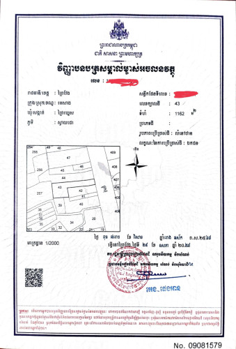 ដីលក់បន្ទាន់ ជាប់ផ្លូវធំ30m