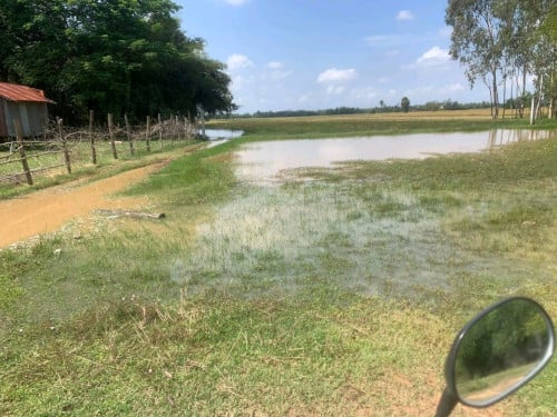 ដីលក់បន្ទាន់ ជាប់ផ្លូវធំ30m