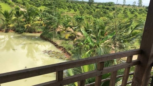 ដីលក់ រឺ ជួល