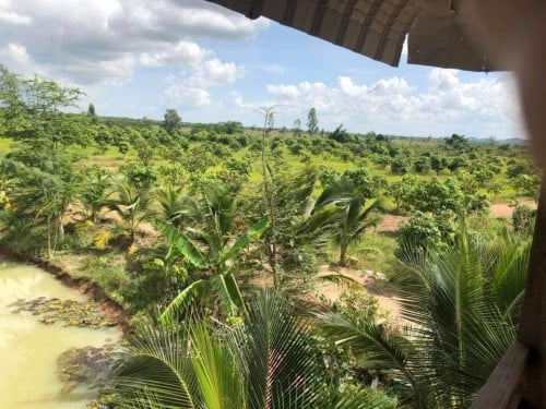 ដីលក់ រឺ ជួល