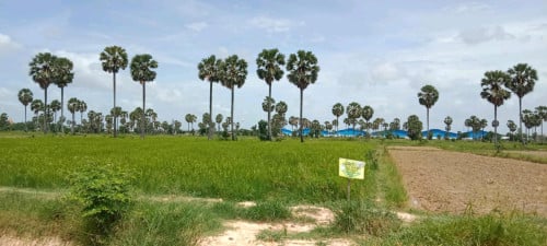 ដីស្រែកែង ខណ្ឌកំបូល