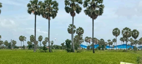ដីស្រែកែង ខណ្ឌកំបូល