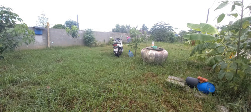 ដីកែង ម្ចាស់ផ្ទាល់