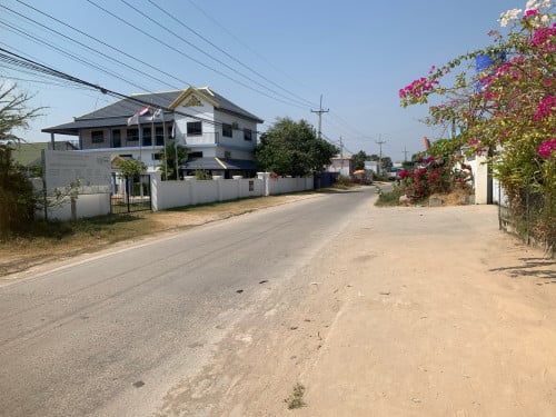 ដីលក់ក្រោយសាលាកូរ៉េ ផ្លូវកប់ស្រូវ