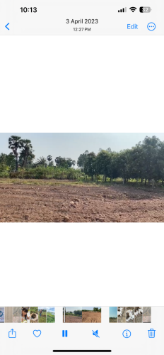 ចុងសន្លឹកយក ប្លង់រឹង