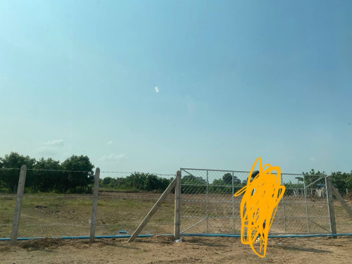 ចុងសន្លឹកយក ប្លង់រឹង