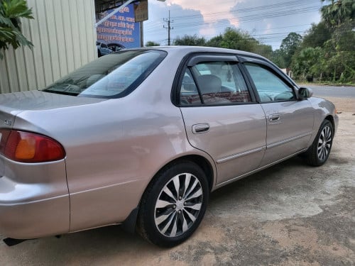 លក់កូរូឡា 98 ពណ៌ទឹកមាស ឡានអ្នកប្រើ