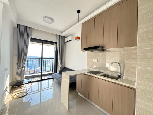 Condo for rent 300$