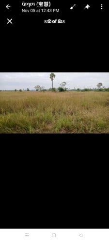 Land