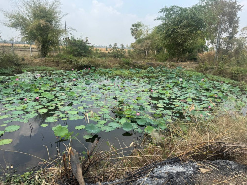 ដីលក់បន្ទាន់