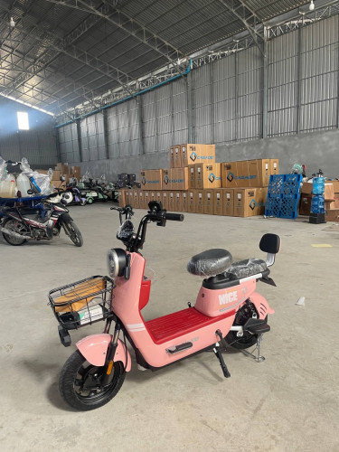 កង់អគ្គិសនី Casadei