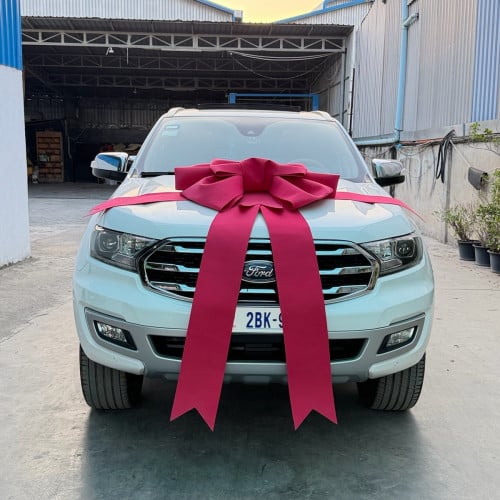 Ford Everest 020 full option