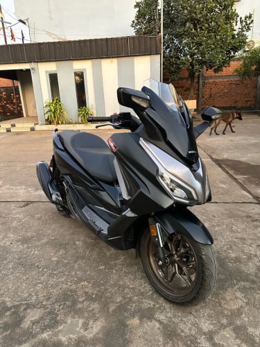 FORZA 350cc ឆ្នាំ​ 2024​