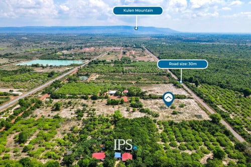 ដីចំការលក៎