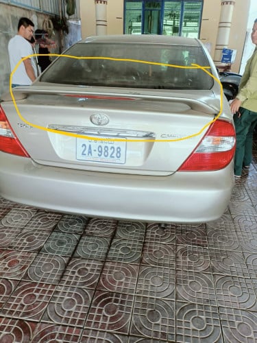 កន្ទុយត្រី ស្ពយលឿ