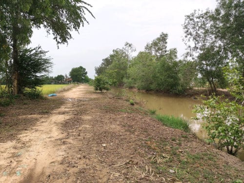 ដីស្រែជាប់ប្រឡាយ 50