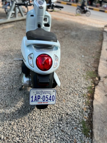 1990$SCOOPY2022up2024
