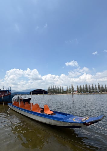 Boat fiber