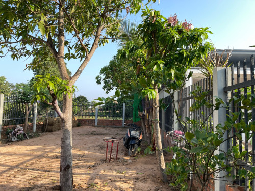 ដីលក់ទំហំ 8m x 19m ក្នុងក្រុងសៀមរាប (ទីតាំងដីស្អាត) Telegram 096 777 1844  069 202 395