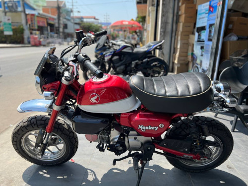 Honda Monkey 125 2020 ABS ក្រដាសពន្ធពីជប៉ុន មានគ្រឿងលេងខ្លះ