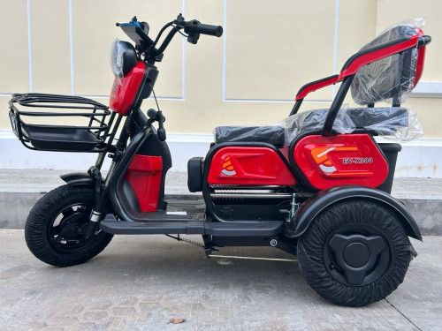 Model EV-X300🇯🇵