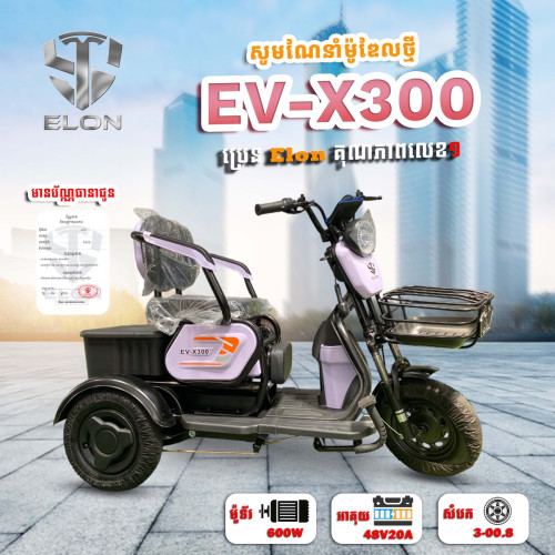 Model EV-X300🇯🇵