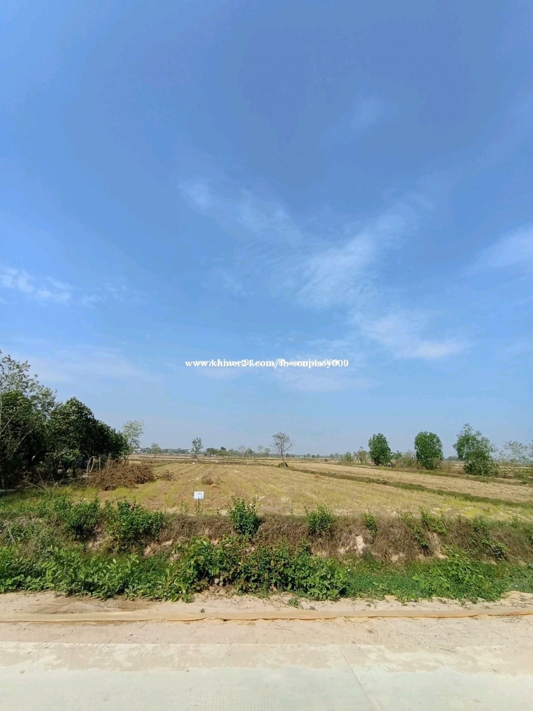 ដីលក់បន្ទាន់ 22m x 75m