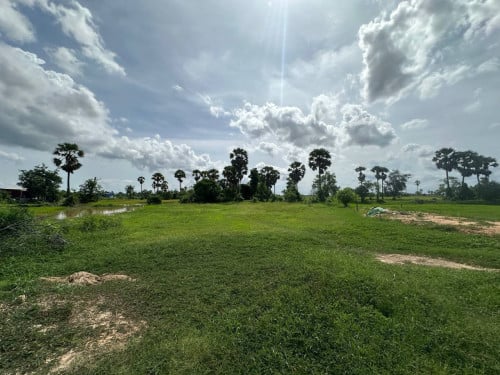 ដីលក់នៅជាប់នឹងប្រឡាយណឹម ម៉េង (ម្ចាស់ផ្ទាល់)