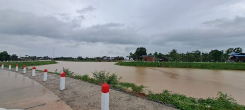 ដីជួលនៅប្របមាត់ស្ទឹងសៀមរាប (ម្ចាស់ផ្ទាល់)