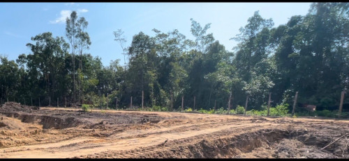ដីលក់