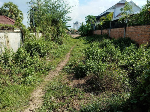 🏠 អចលនទ្រព្យ លក់ឡាយឡុង (Auctioned Properties) 🏷